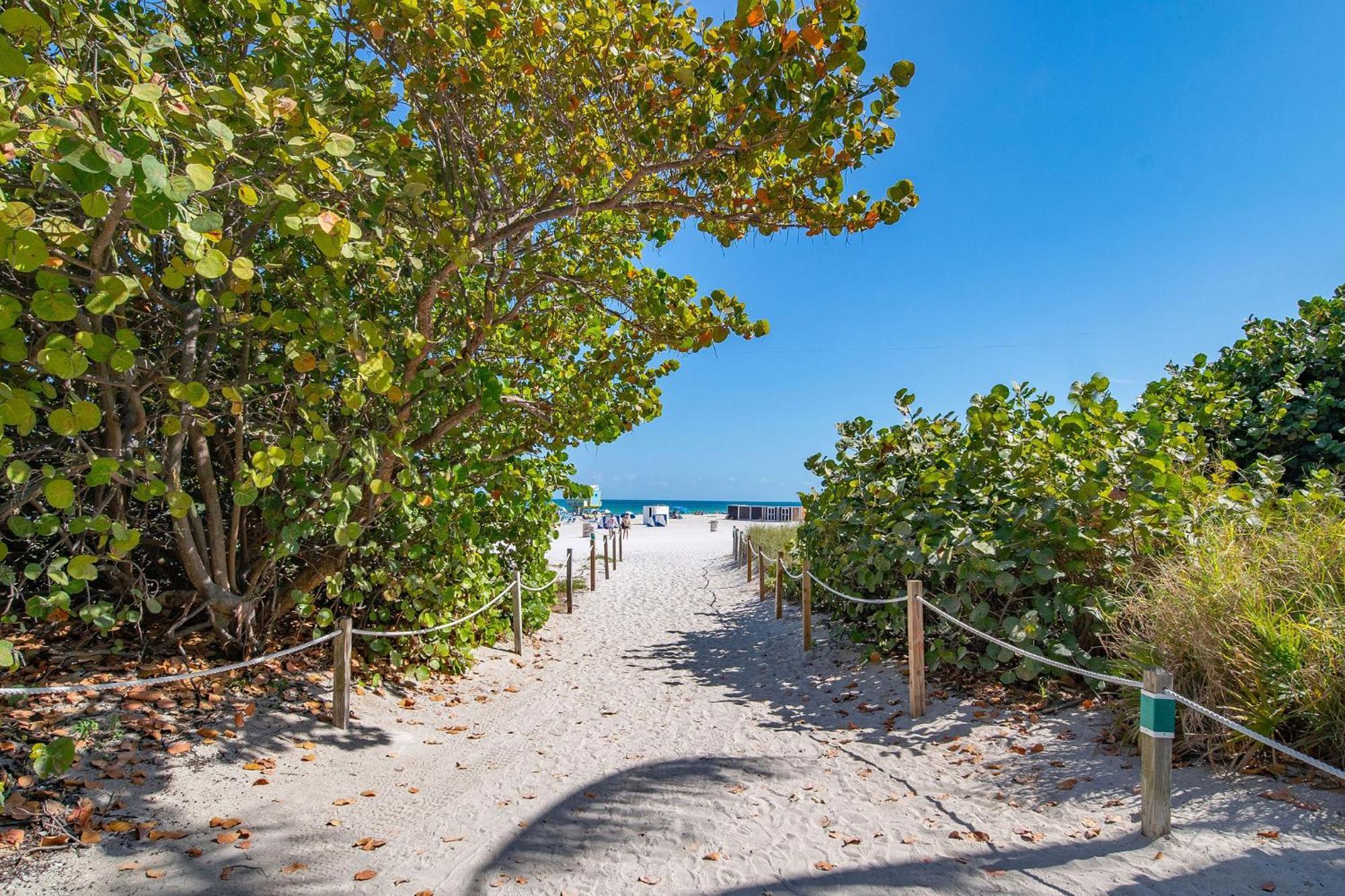 Charming Large Studio Near Ocean Dr - South Beach Miami Beach Exterior foto