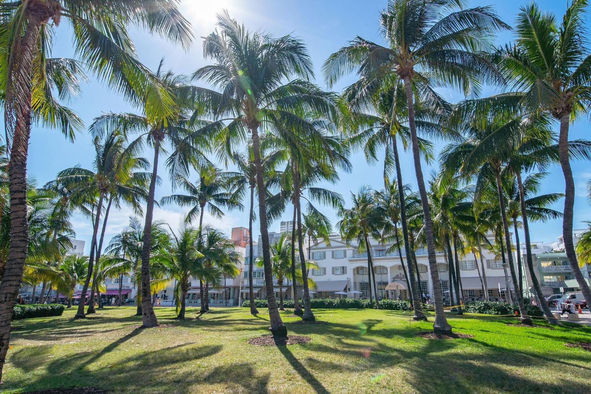 Charming Large Studio Near Ocean Dr - South Beach Miami Beach Exterior foto